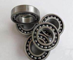 306-2RZ Bearing Suppliers China